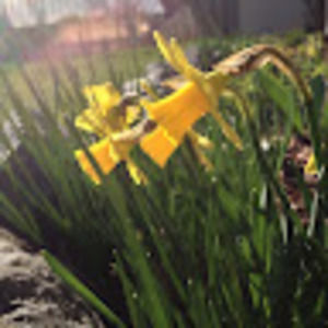 Meet your Posher, Habiba